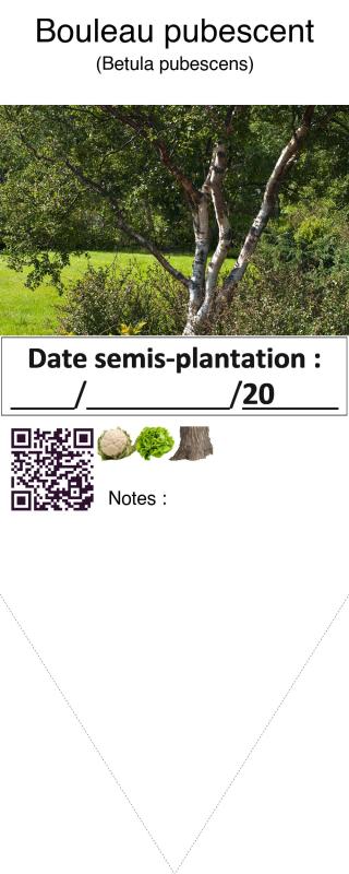 Photo pho1